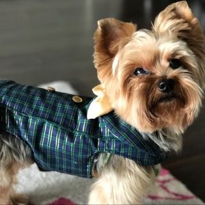 Custom-Made Toy Breed Blue & Green Plaid with Gold Coat and Tails Suit Jacket